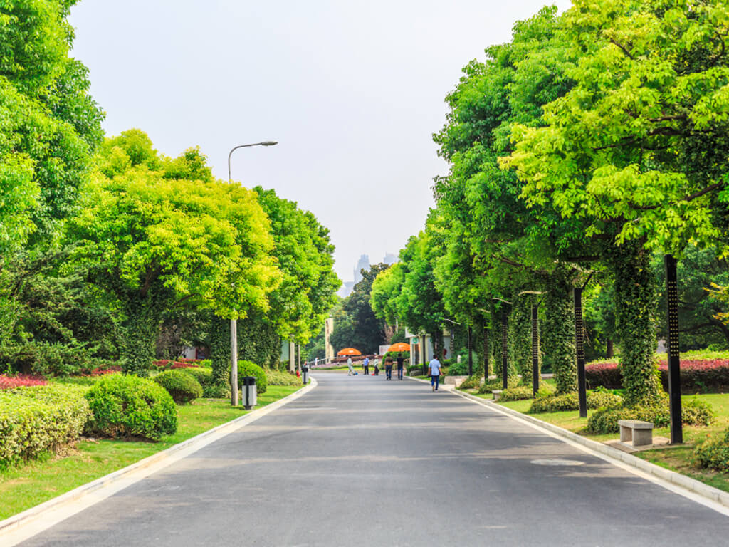 Beautification-Landscaping